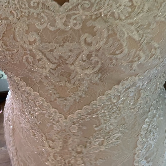 Wedding Dress - Picture 4 of 14